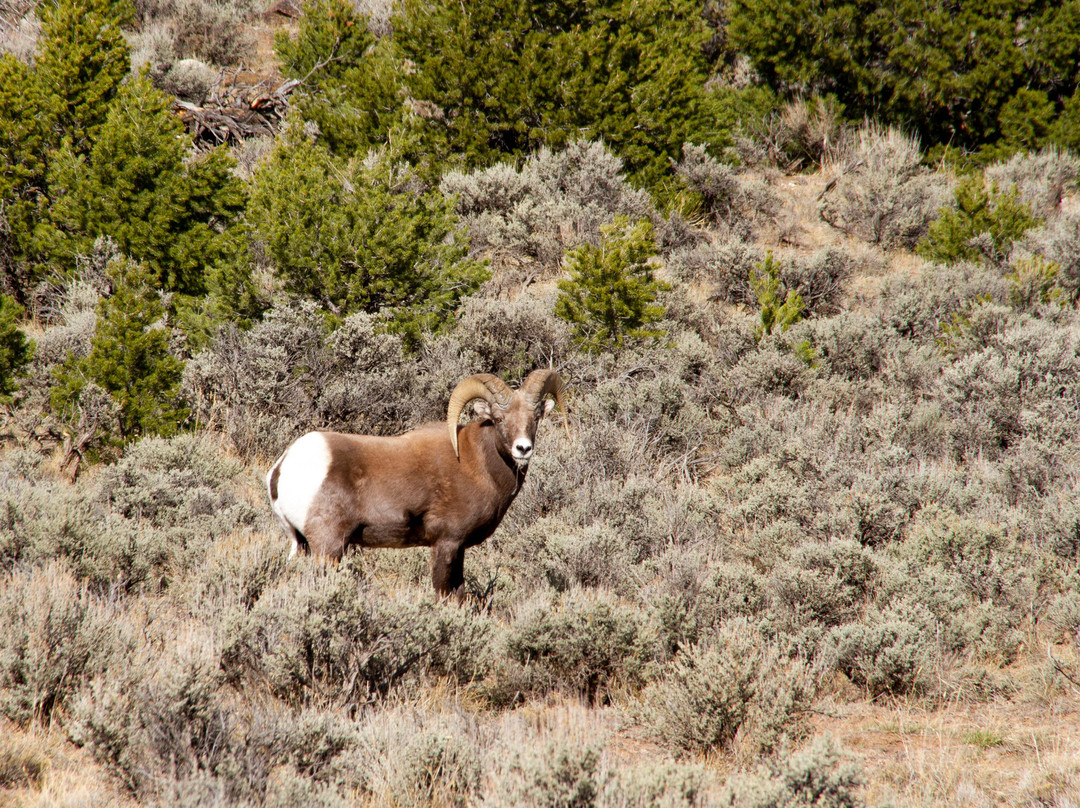 Rio Grande del Norte National Monument-道师城必去景点