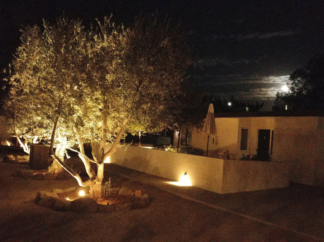 Cuyama Buckhorn主图