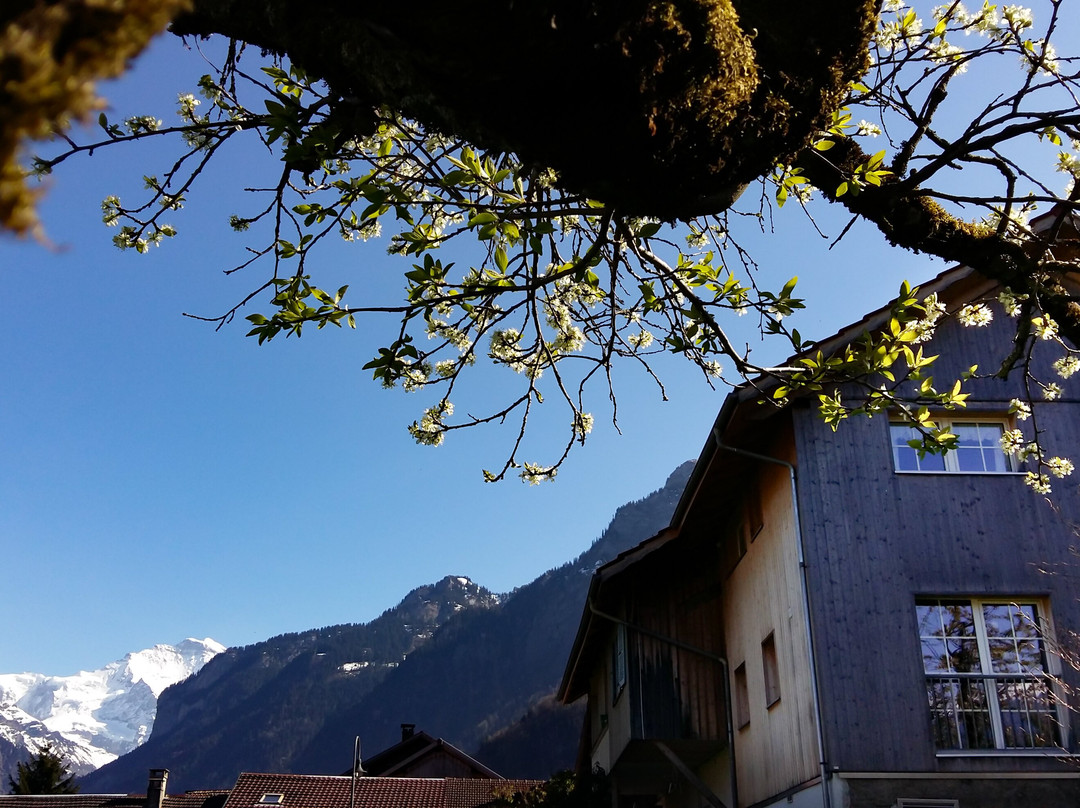 Swiss Holiday House