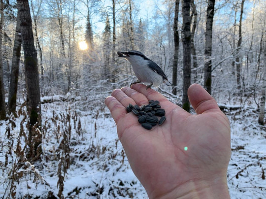 Ekaterinburg Guide Center-叶卡捷琳堡必去景点