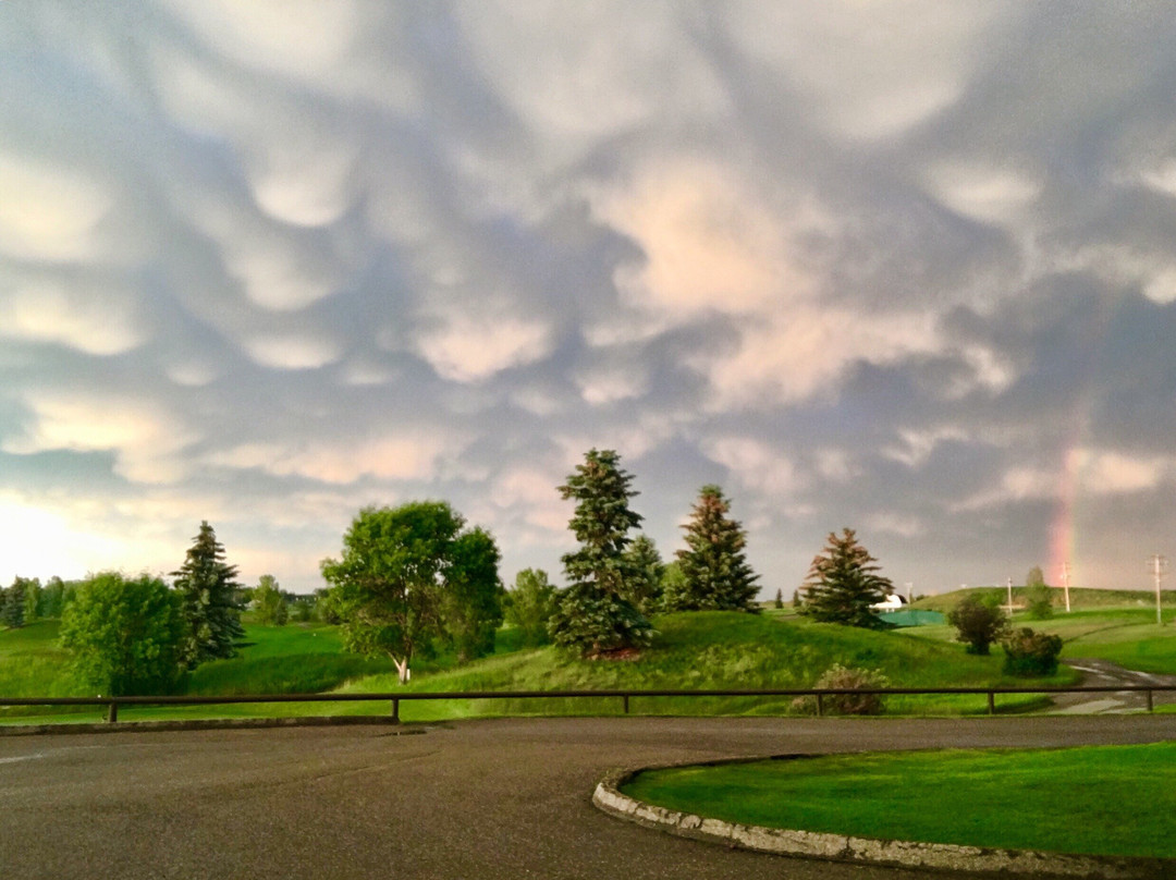 D'Arcy Ranch Golf Club景点图片