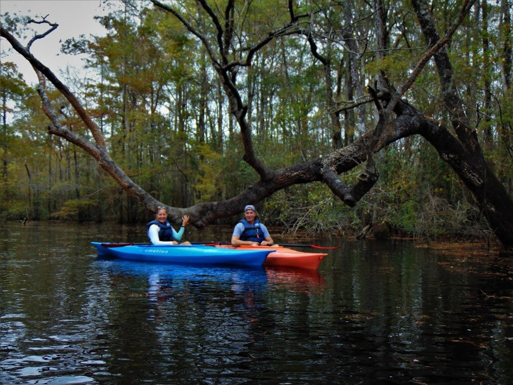 Gator Bait Adventure Tours-美特尔海滩必去景点