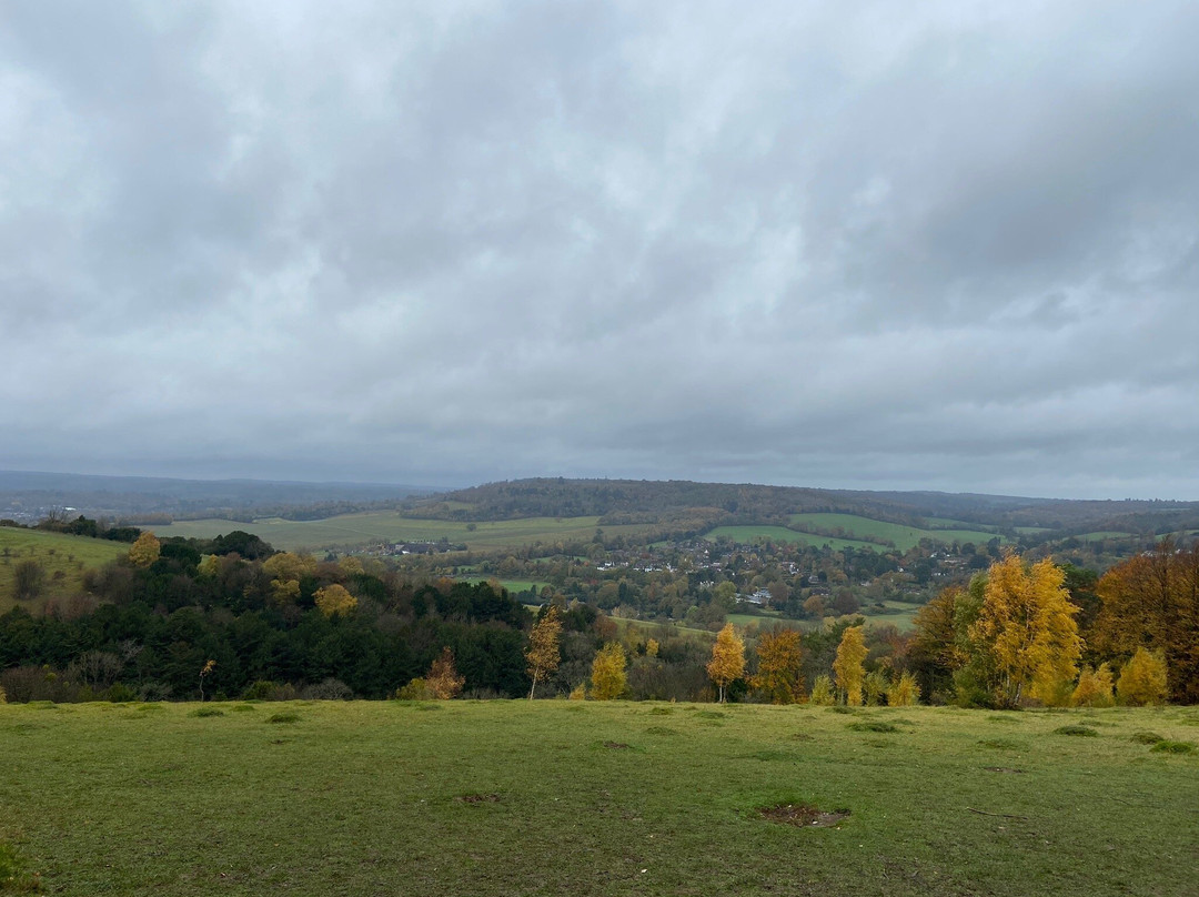 National Trust Box Hill Stepping Stones景点图片