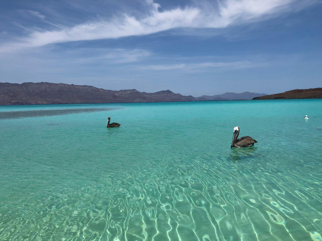 Isla Coronado景点图片