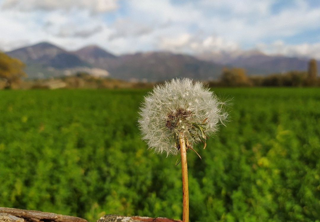 Riserva Naturale dei Laghi Lungo e Ripasottile-Colli Sul Velino必去景点