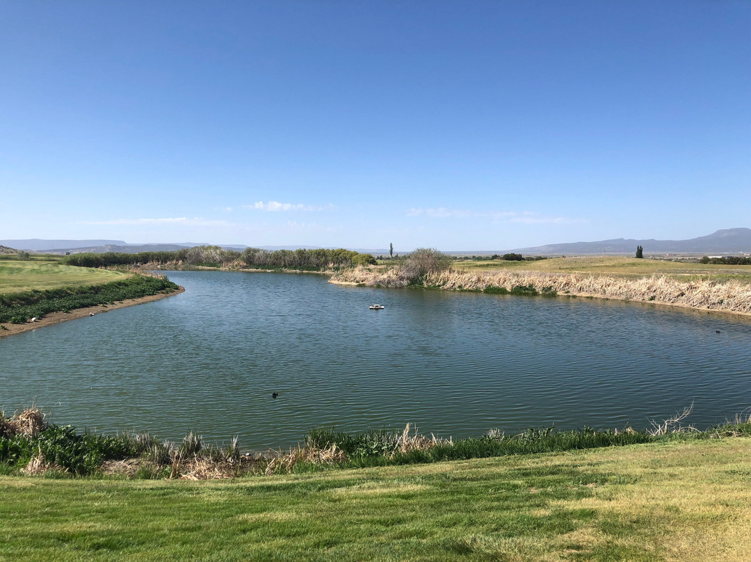 Coyote Del Malpais-Grants必去景点