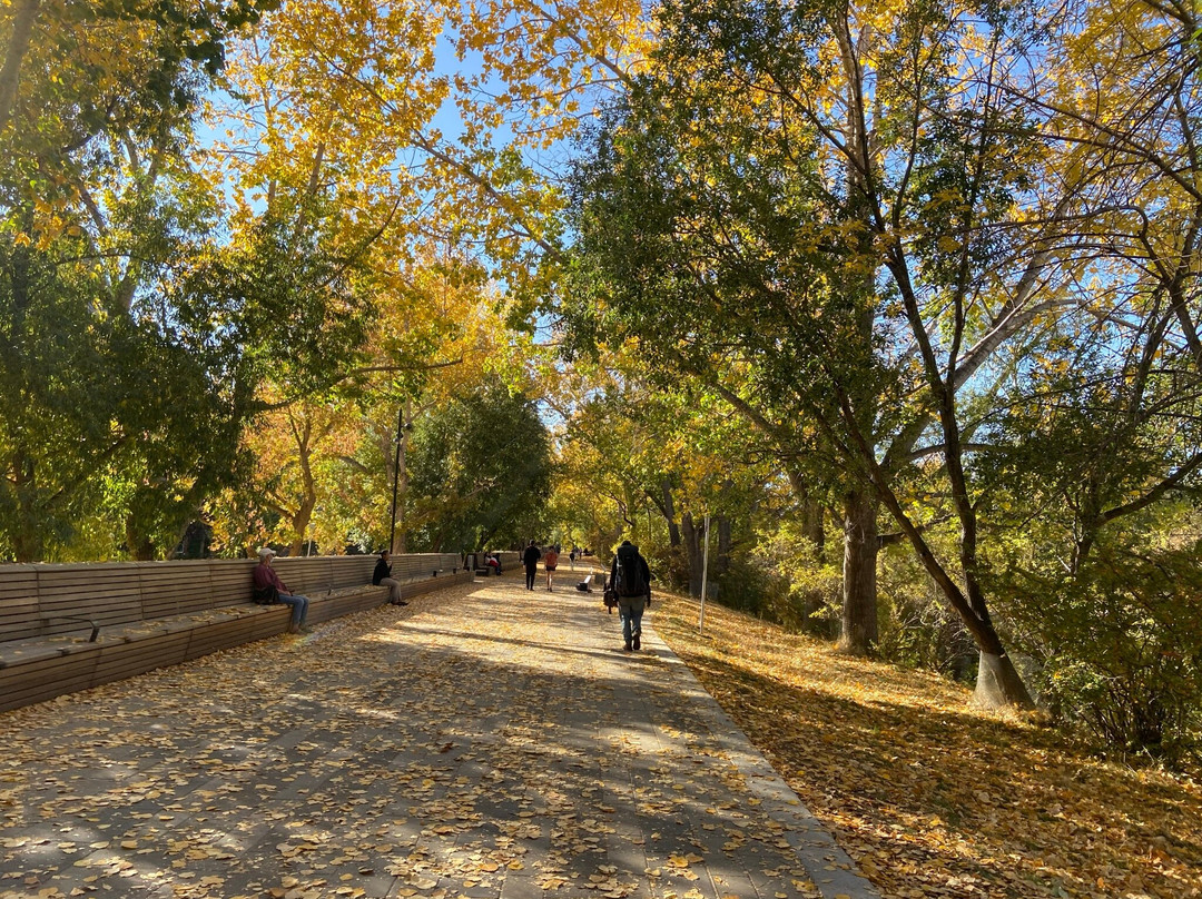 Calgary Pathway System-卡尔加里必去景点