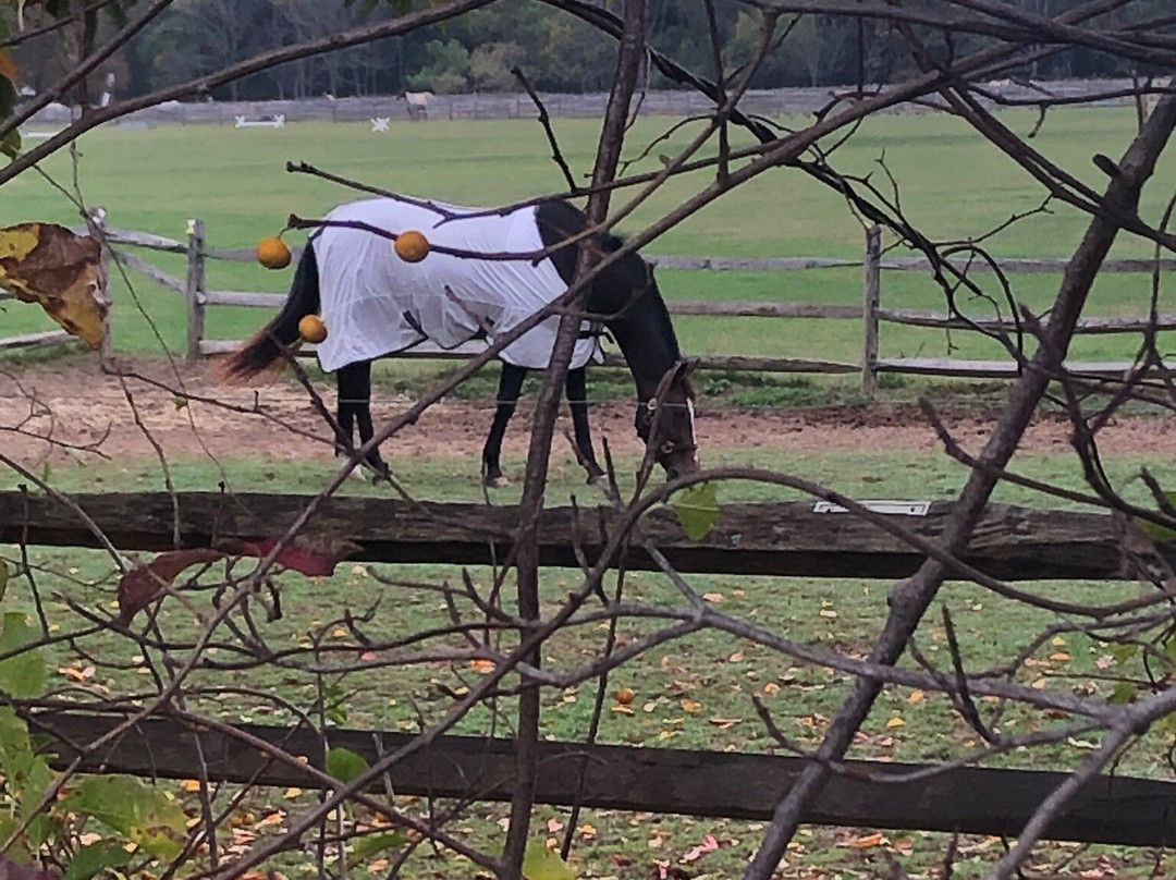 寇塞特国家公园-亨廷顿必去景点