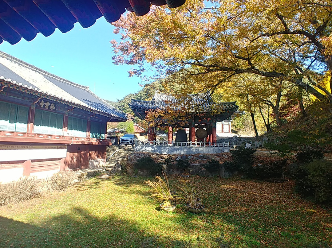 Gounsa Temple-义城郡必去景点