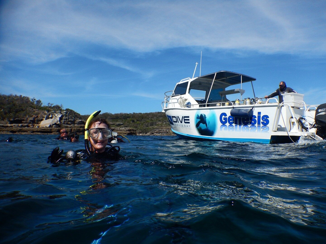 Dive Jervis Bay景点图片