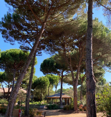 Sublime Comporta - Country Retreat & Spa主图