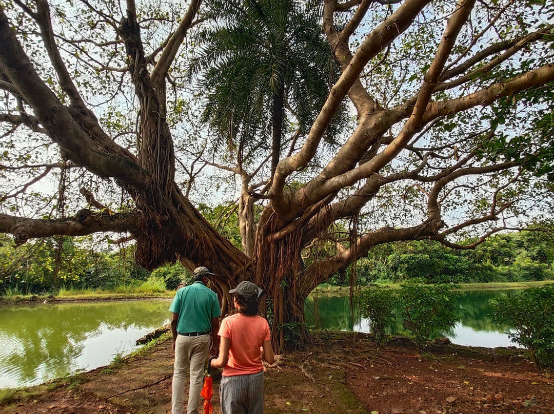 SwaSwara, CGH Earth主图