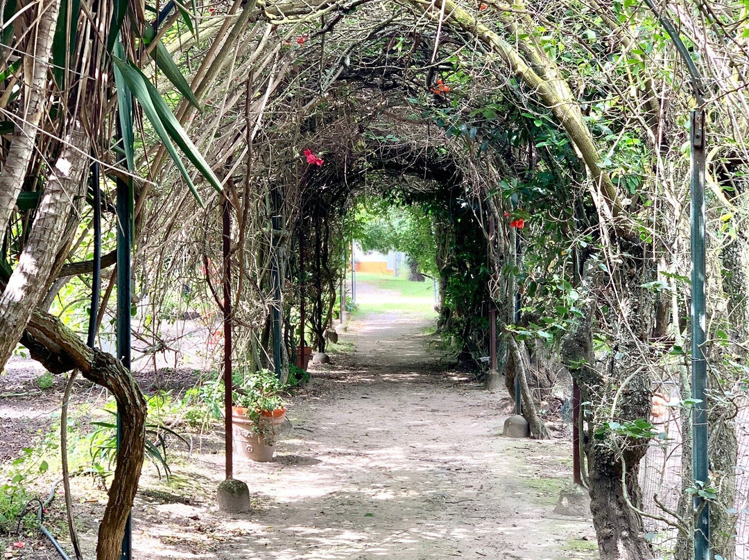 Quinta da Praia das Fontes主图