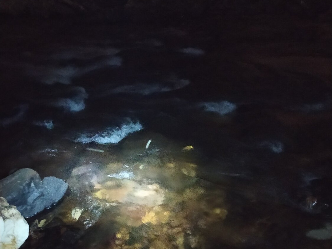 Caverna Terra Ronca 1-Sao Domingos必去景点