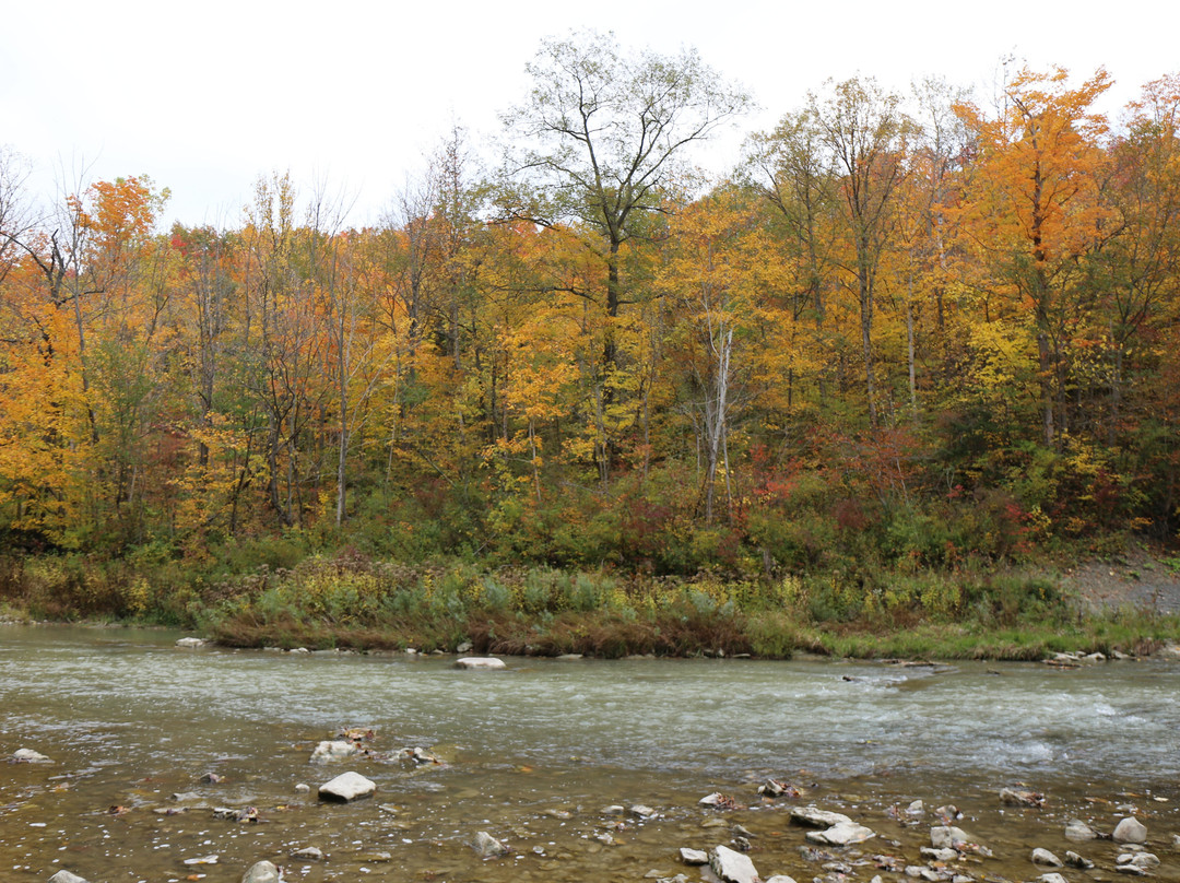Rock Glen Conservation Area景点图片