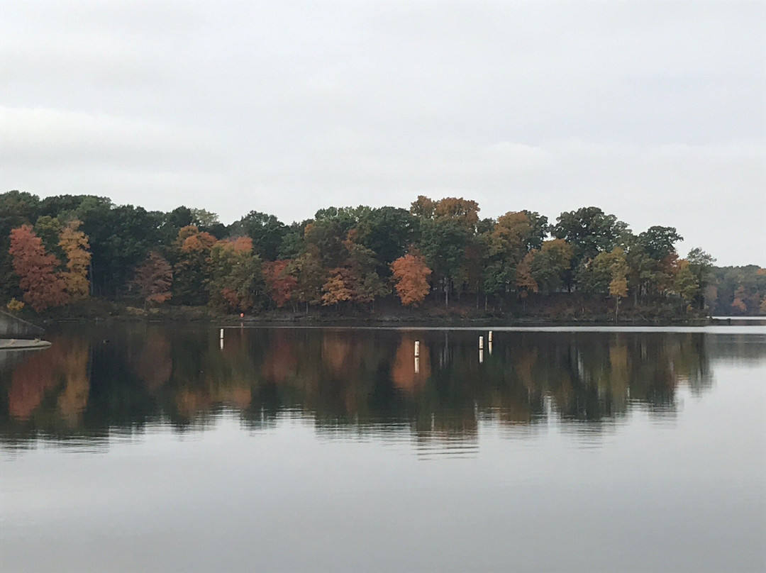 Stephen A Forbes State Park-Kinmundy必去景点