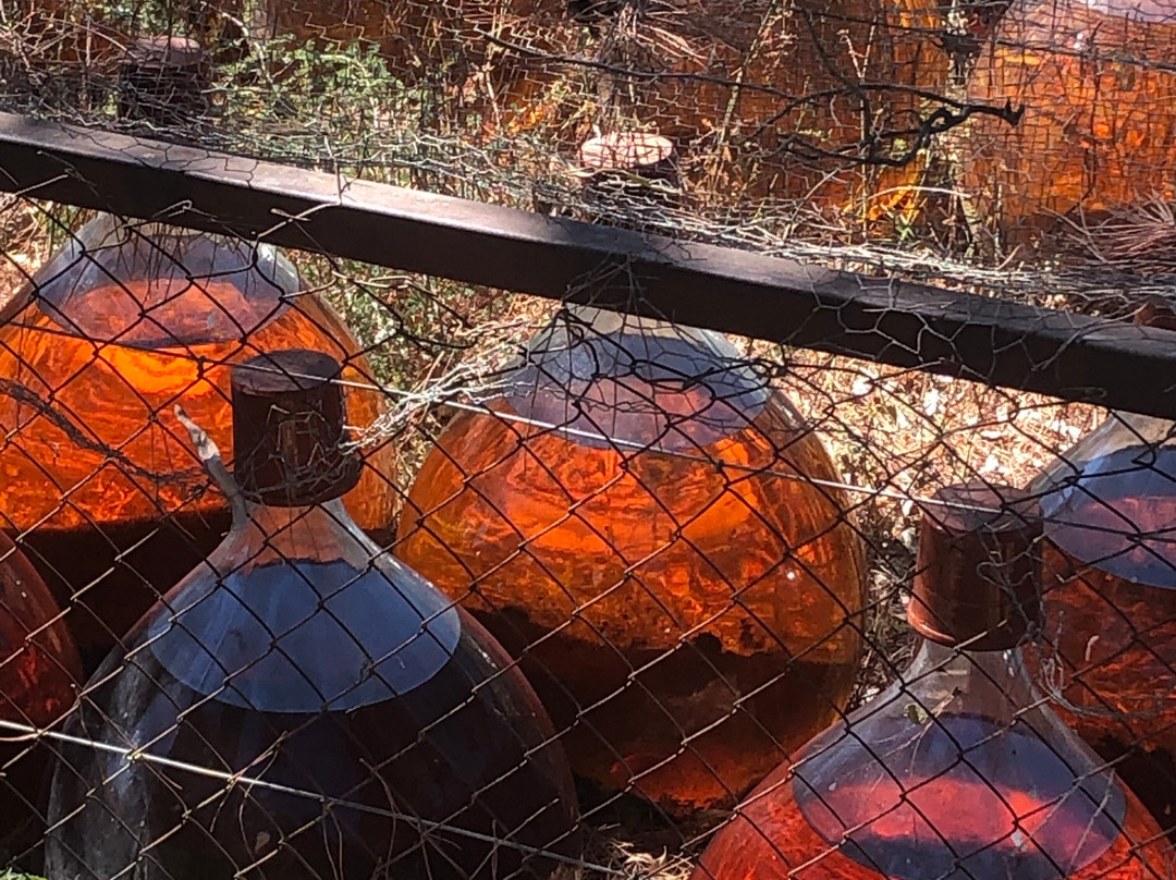 Le Clos de Paulilles景点图片