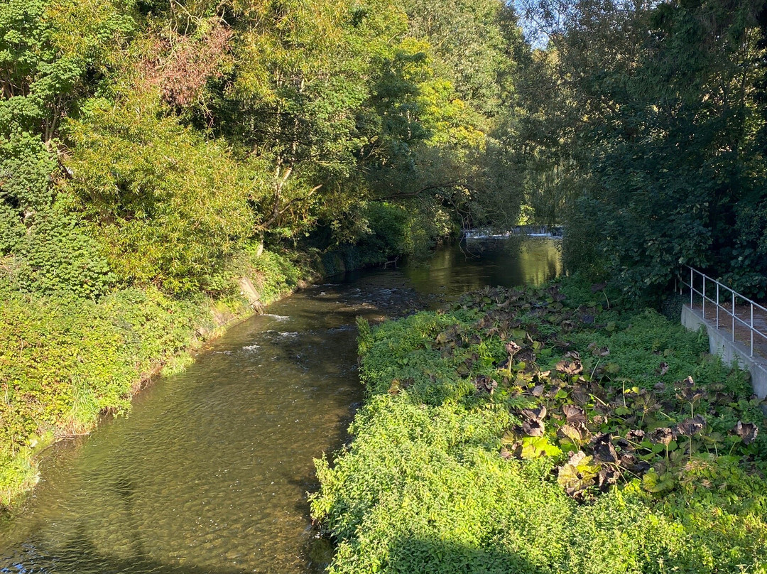 Discover Leixlip Walking Tours-Leixlip必去景点