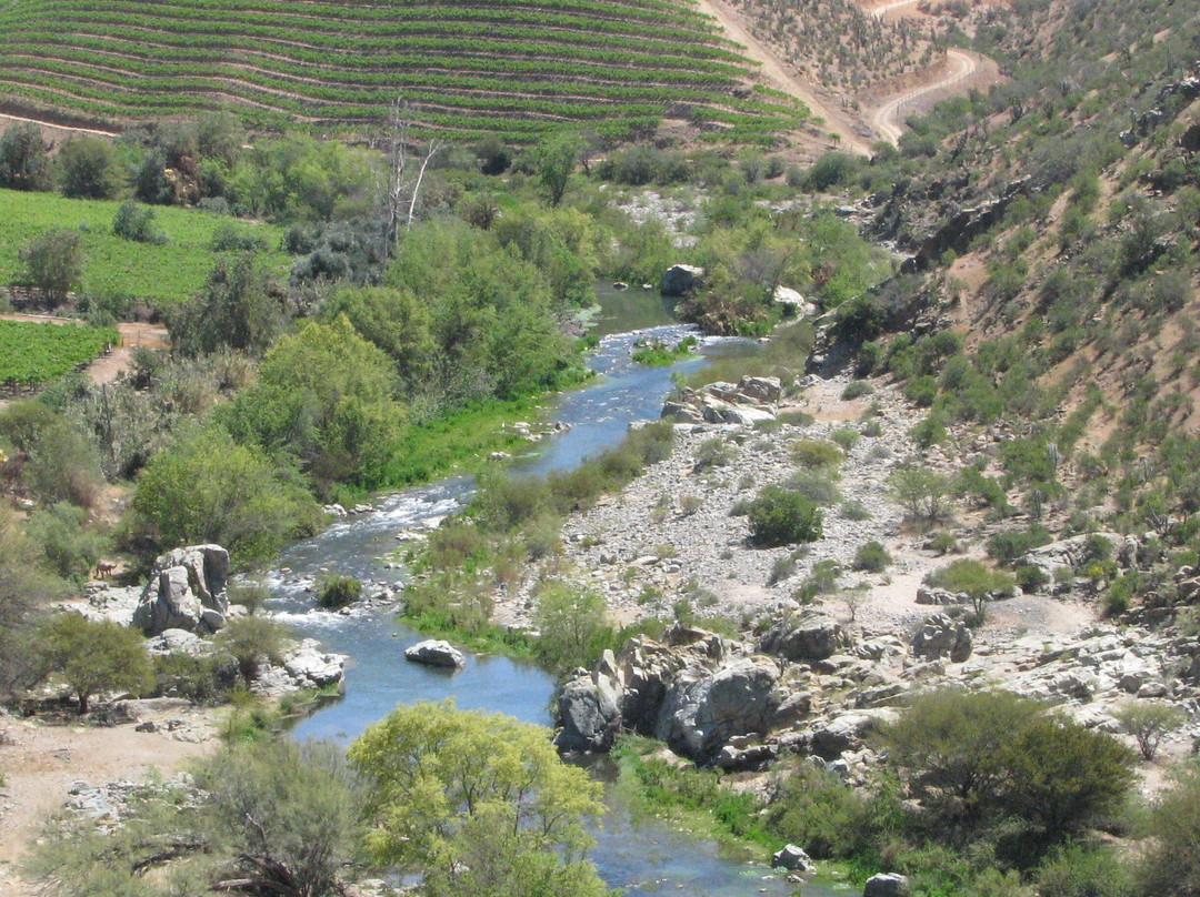 Hotel Club La Serena主图