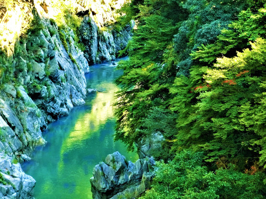 Hatonosu Valley-奥多摩町必去景点