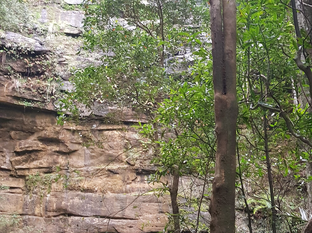 Gap Creek Falls Trail景点图片