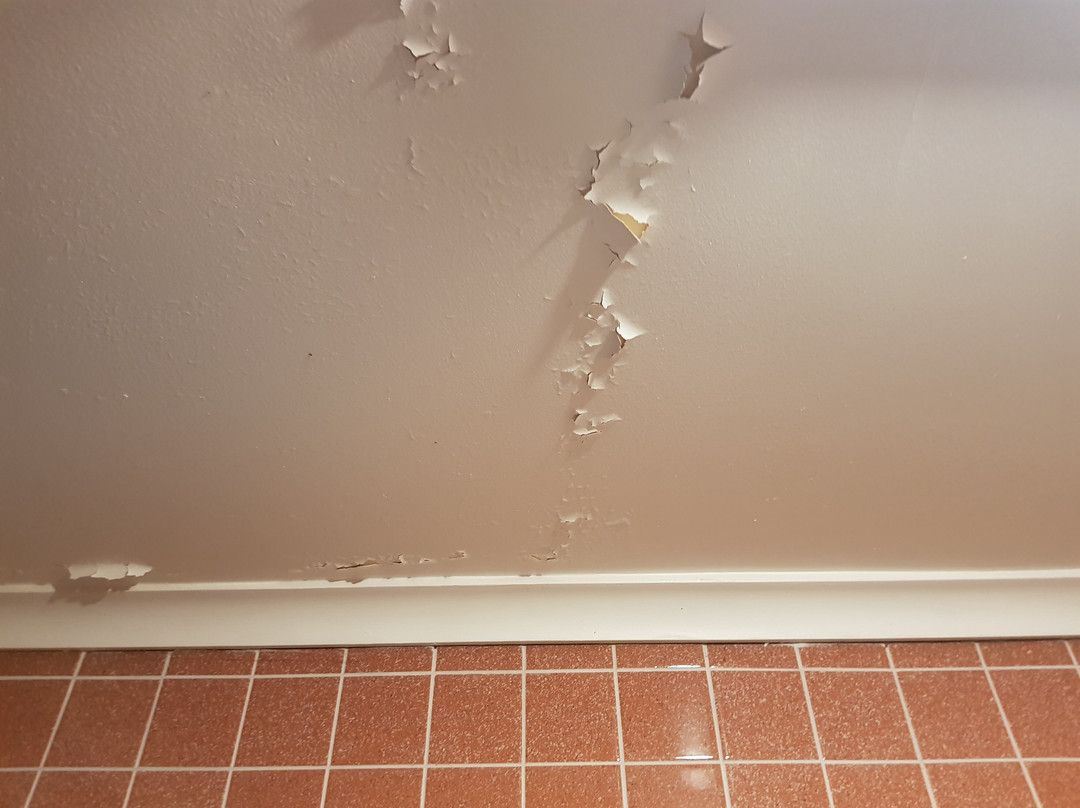 Hahndorf Old Mill主图