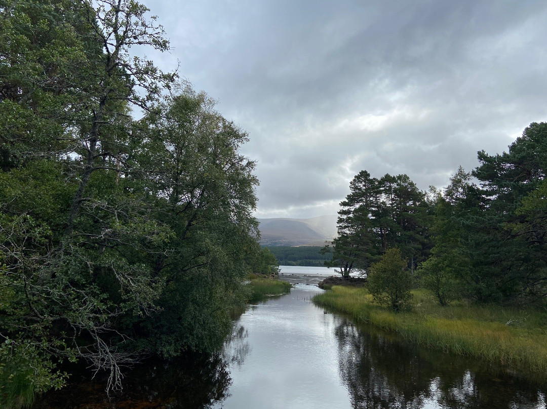 Loch Morlich景点图片