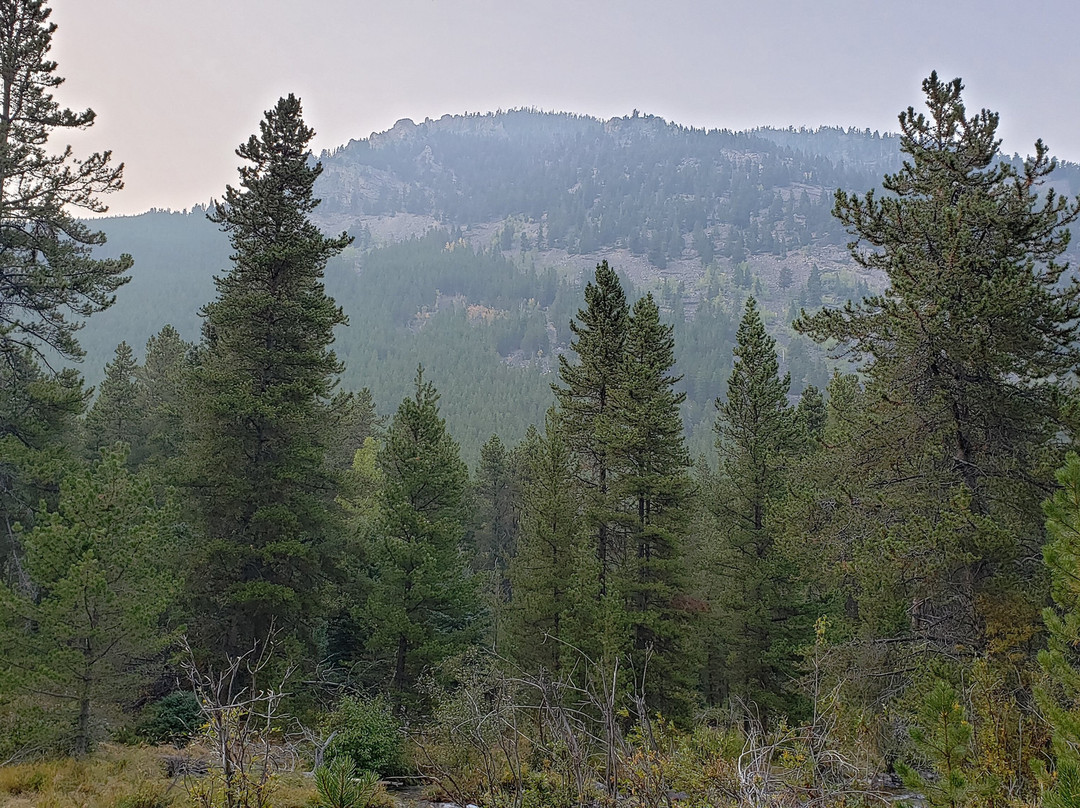 Lake Fork Trail-雷德洛治必去景点
