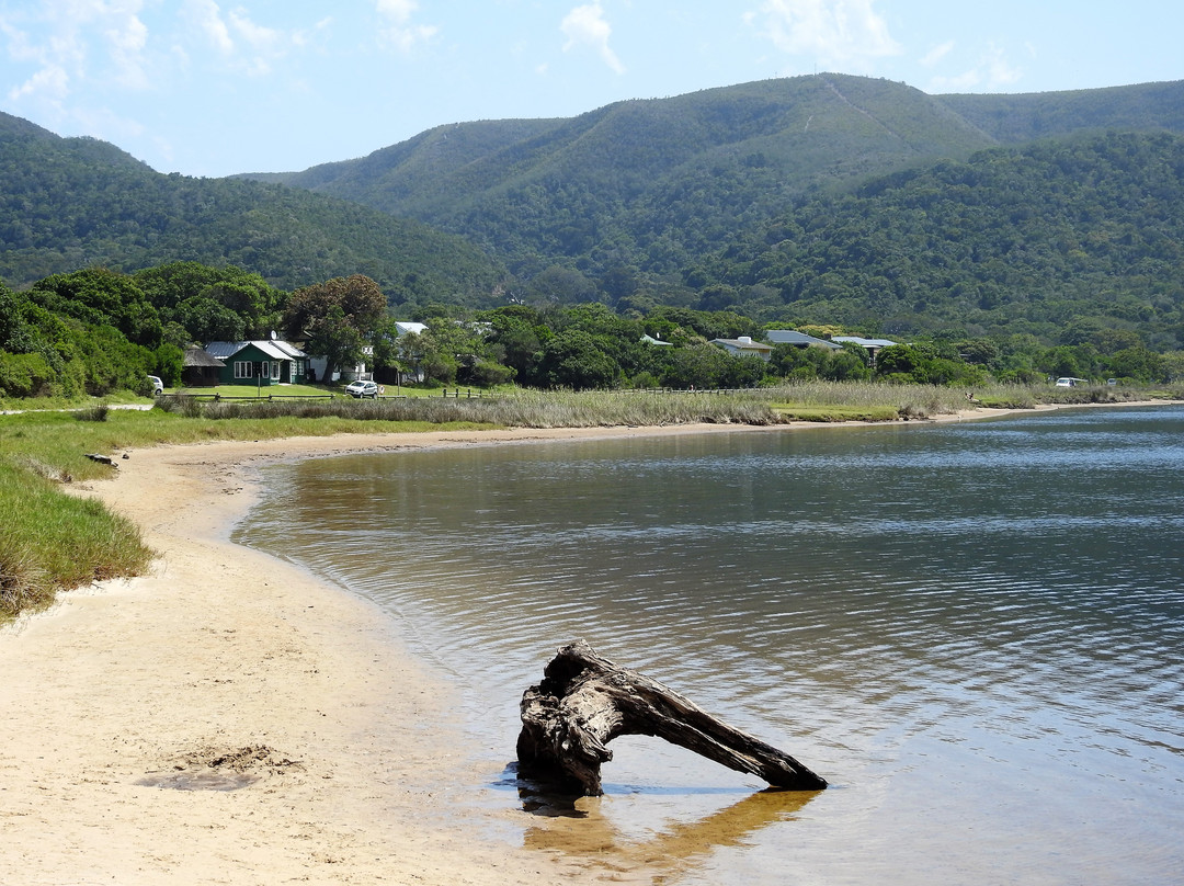 Natures Valley Beach-自然谷必去景点