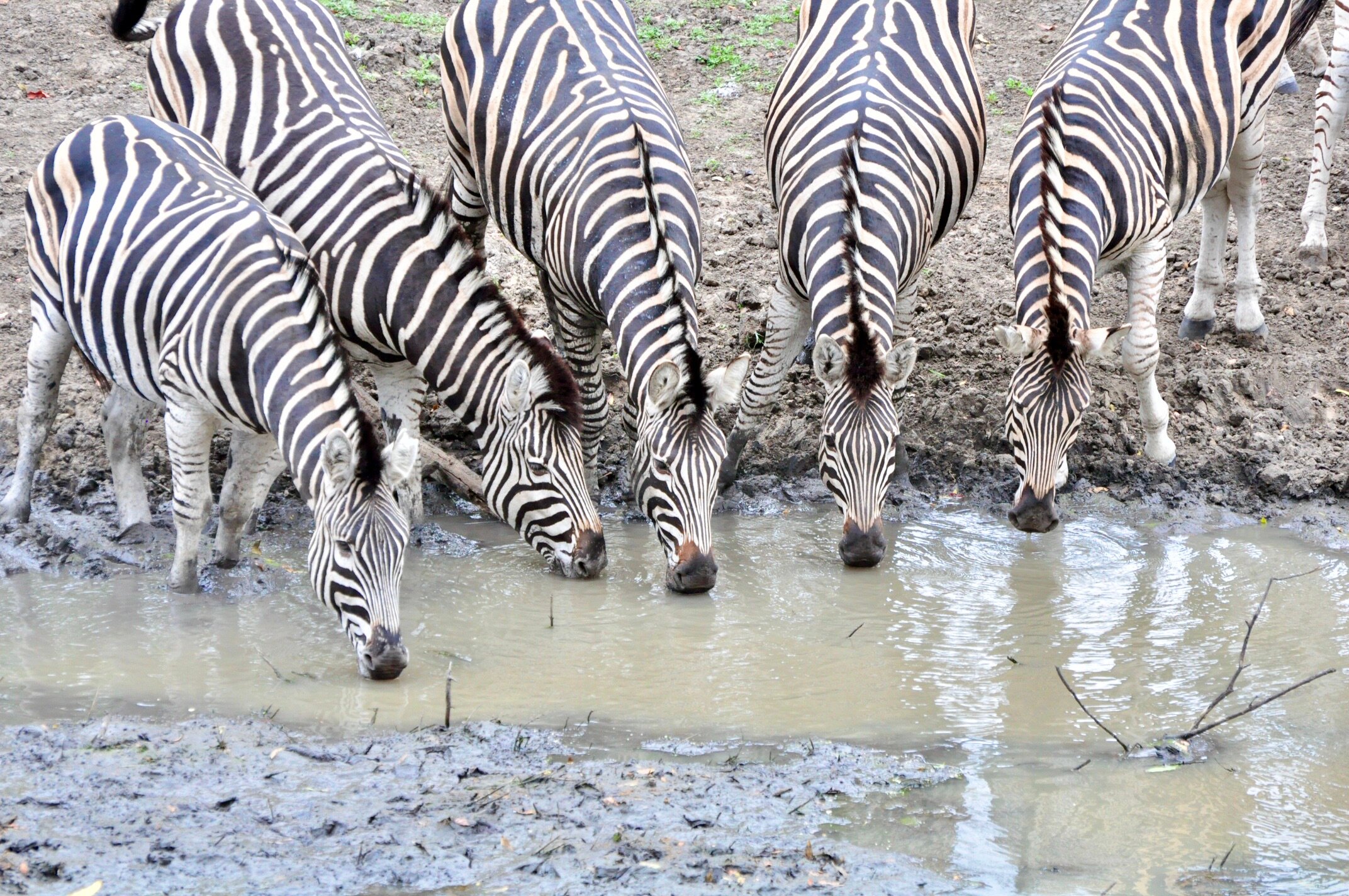 Hamiltons Tented Camp-浴室
