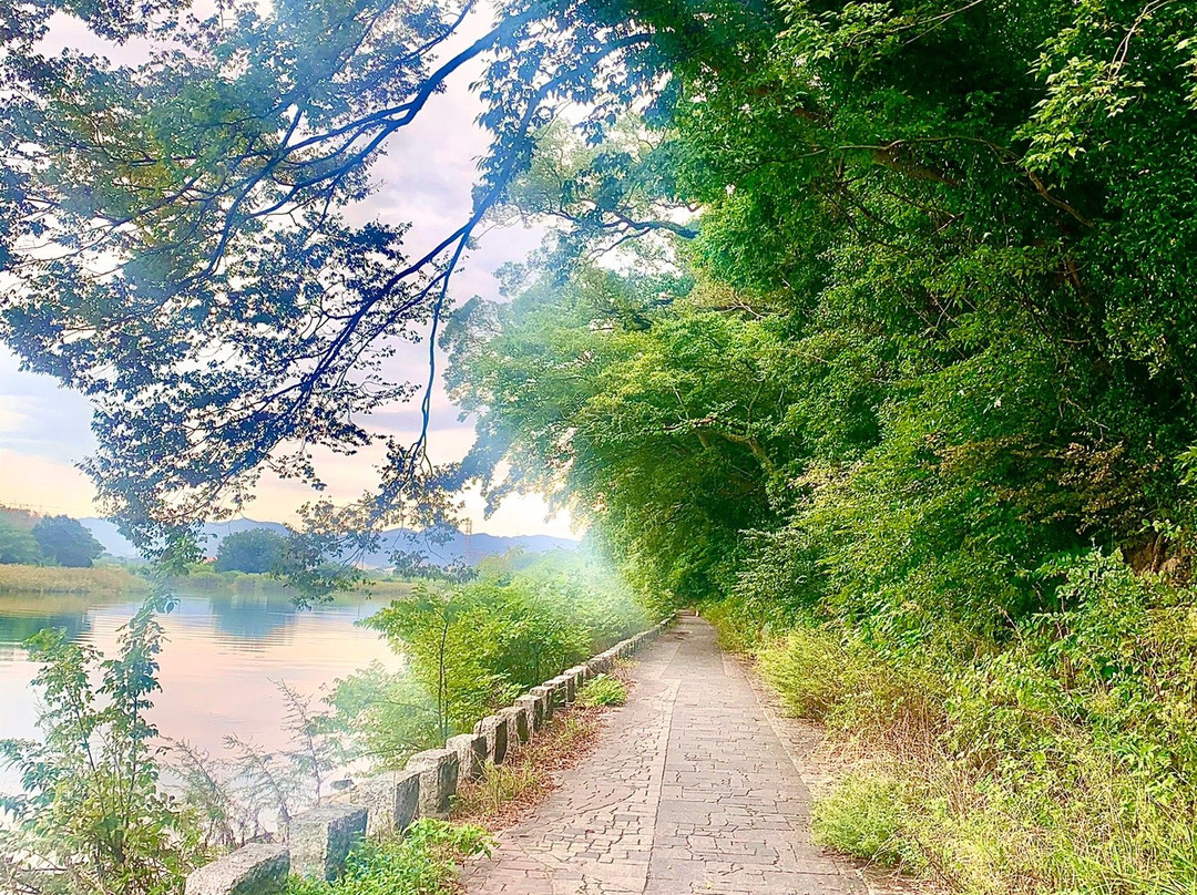 Toyohashi Park景点图片