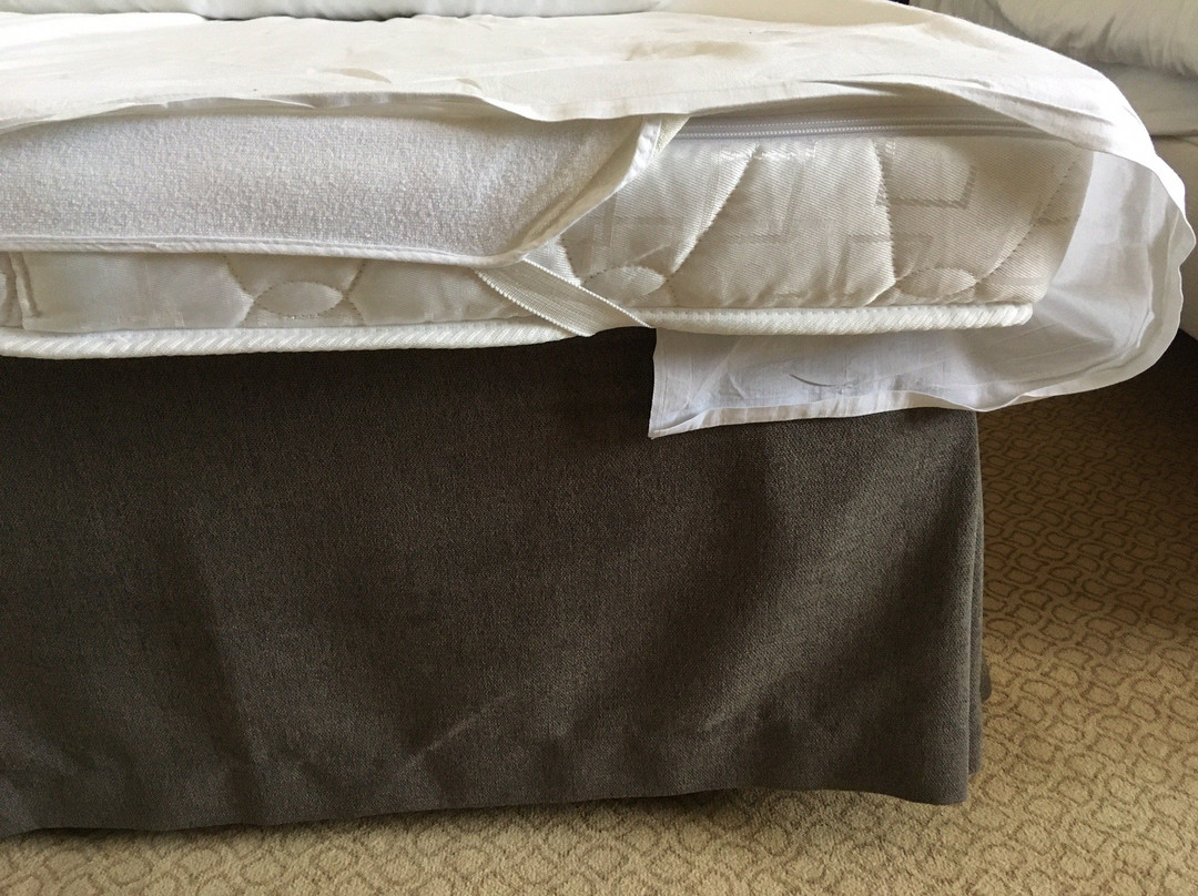 Hotel Krysztal Conference & Spa主图