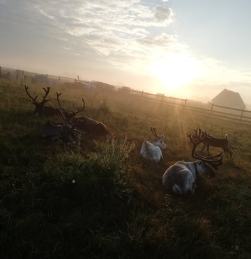 Olenevo-Agro-Pustyn必去景点