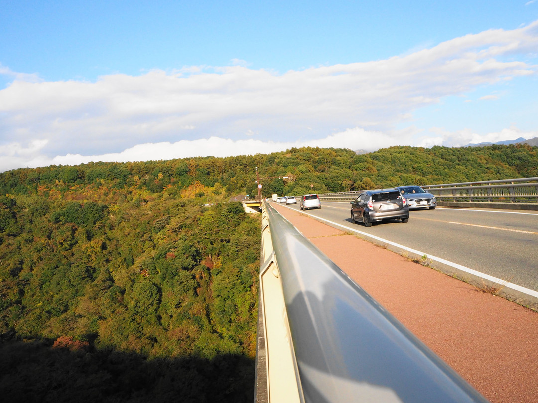 Yatsugatake Kogen Bridge景点图片