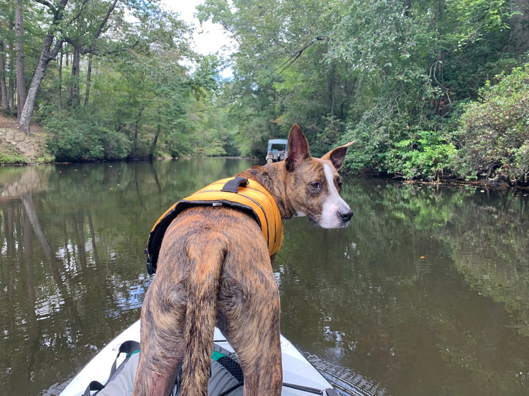 DeSoto State Park-Fort Payne必去景点