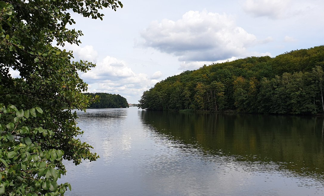 Raduń Lake景点图片