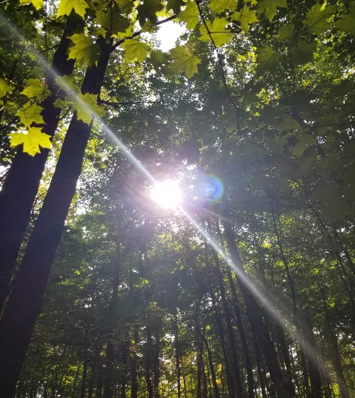 Galien River County Park-New Buffalo必去景点