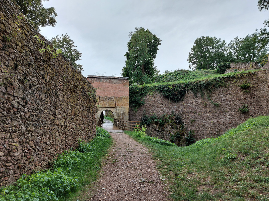 Burgruine Donaustauf-Donaustauf必去景点