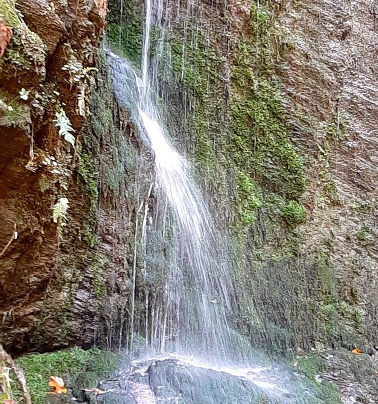 Donnersbachklamm Rundweg-Donnersbach必去景点