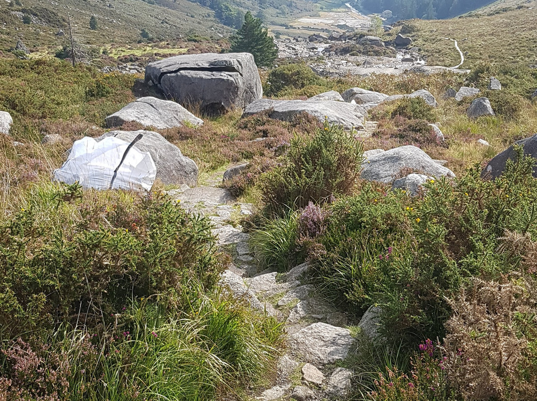 Wicklow Scenic Walks-Wicklow必去景点