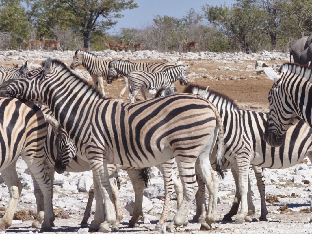 Okahandja旅游攻略图片