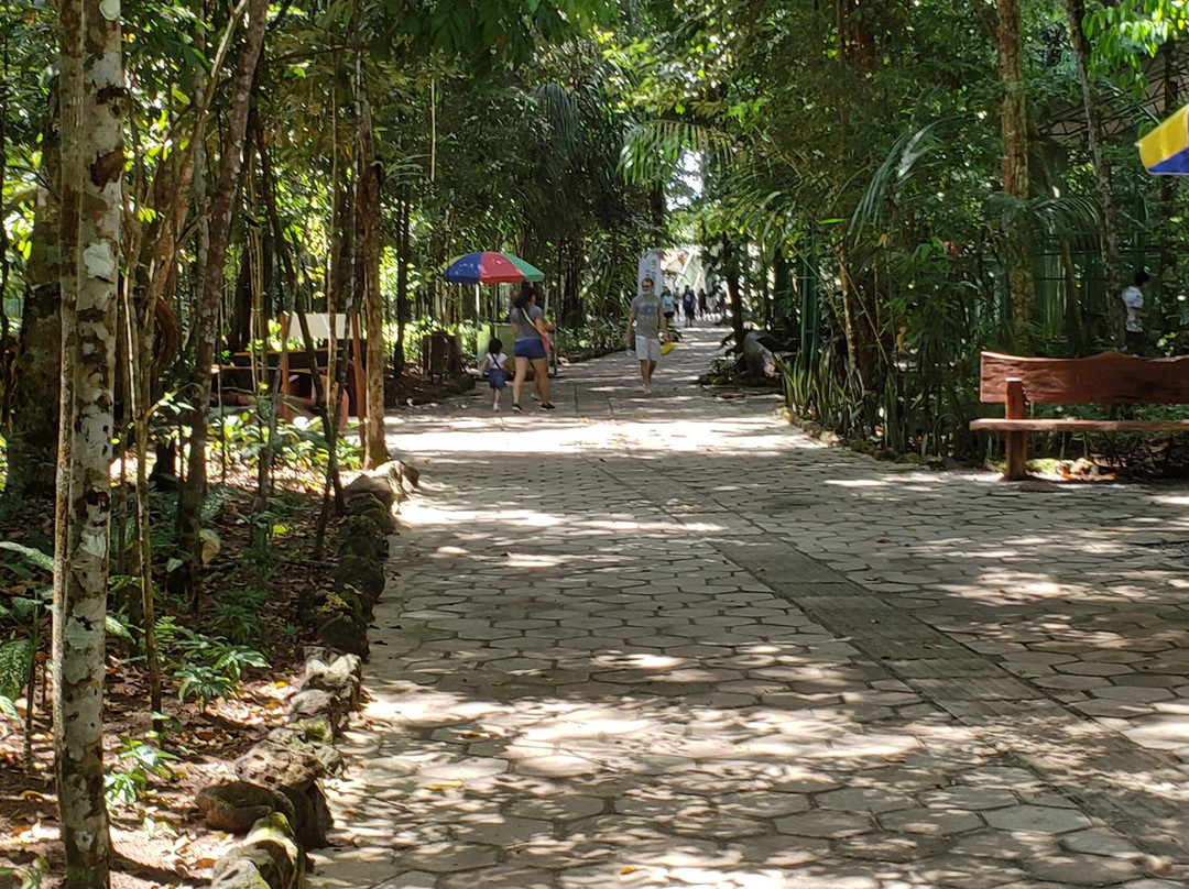 Bioparque Municipal de Macapa-Macapa必去景点