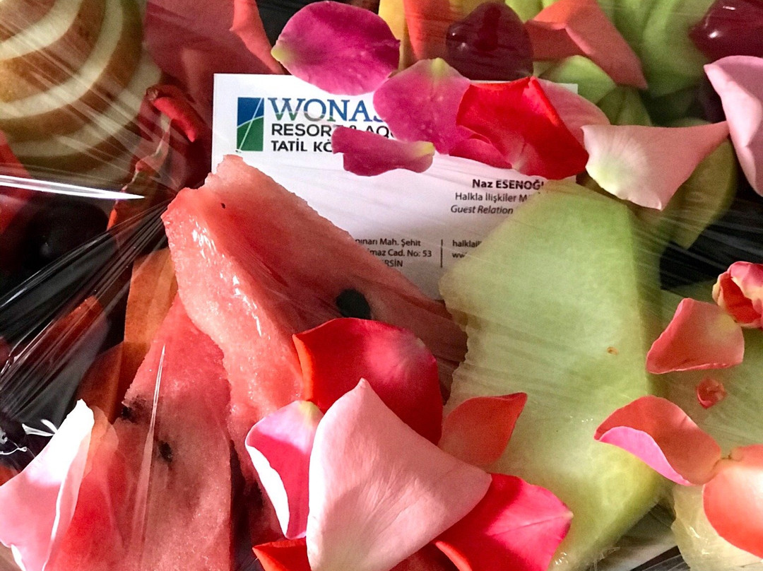 Wonasis Resort Hotel主图