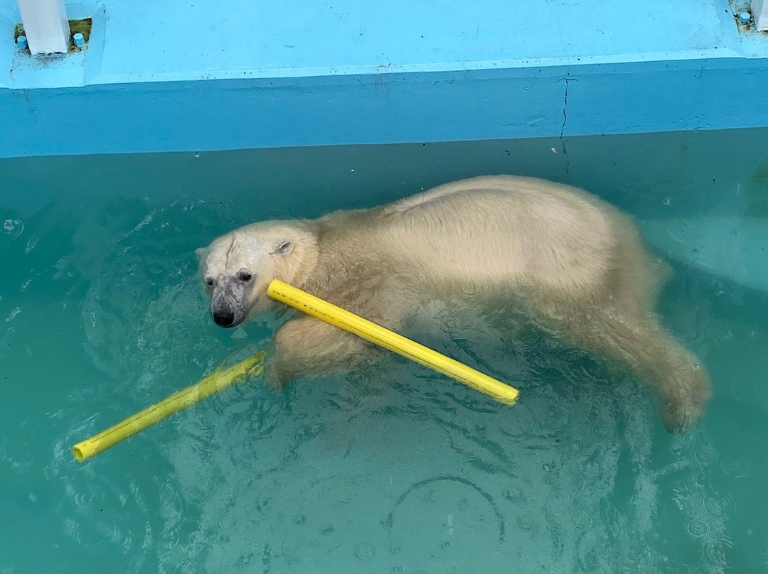 Obihiro Zoo-带广市必去景点