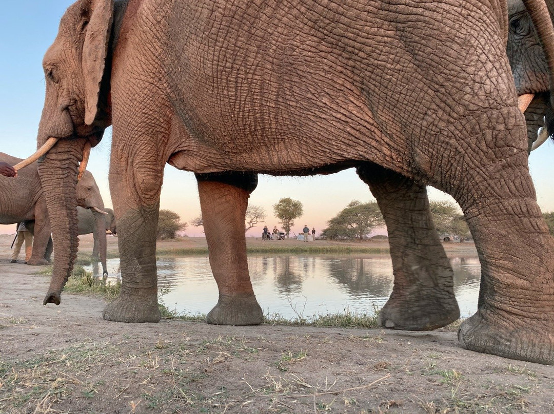 卓美亚狩猎酒店主图