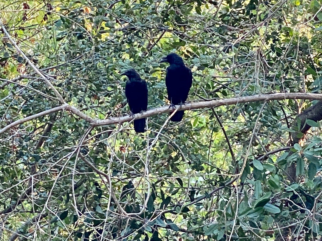 Serrano Creek Community Park-莱克福里斯特必去景点