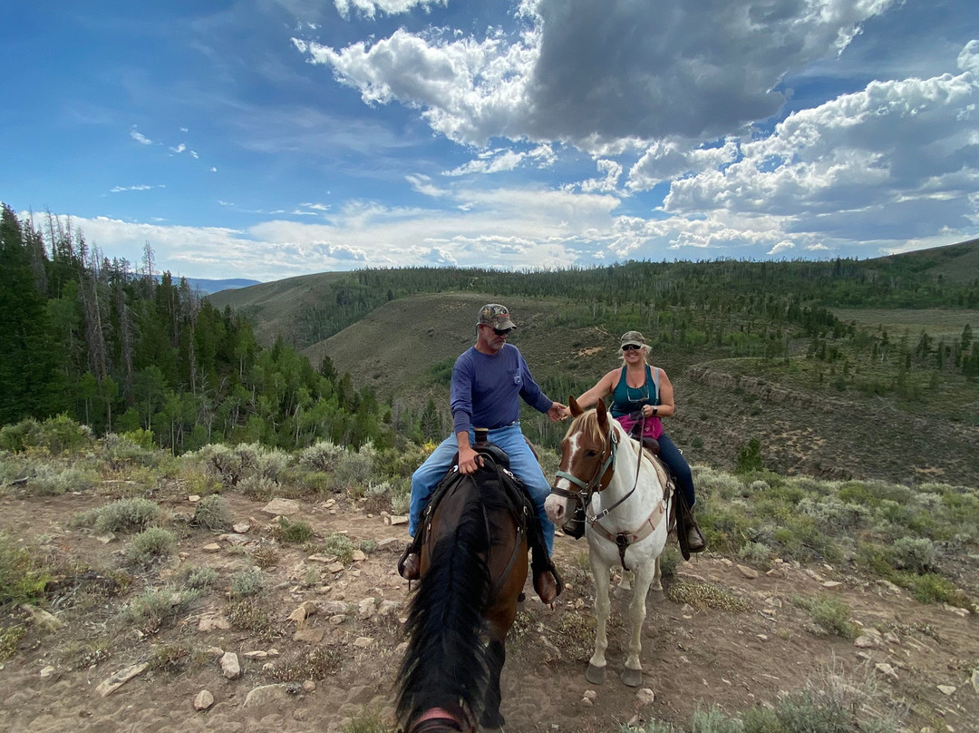 Drowsy Water Ranch主图