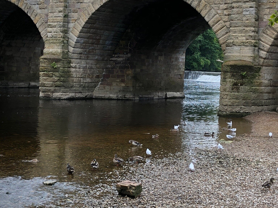 Wetherby Bridge景点图片