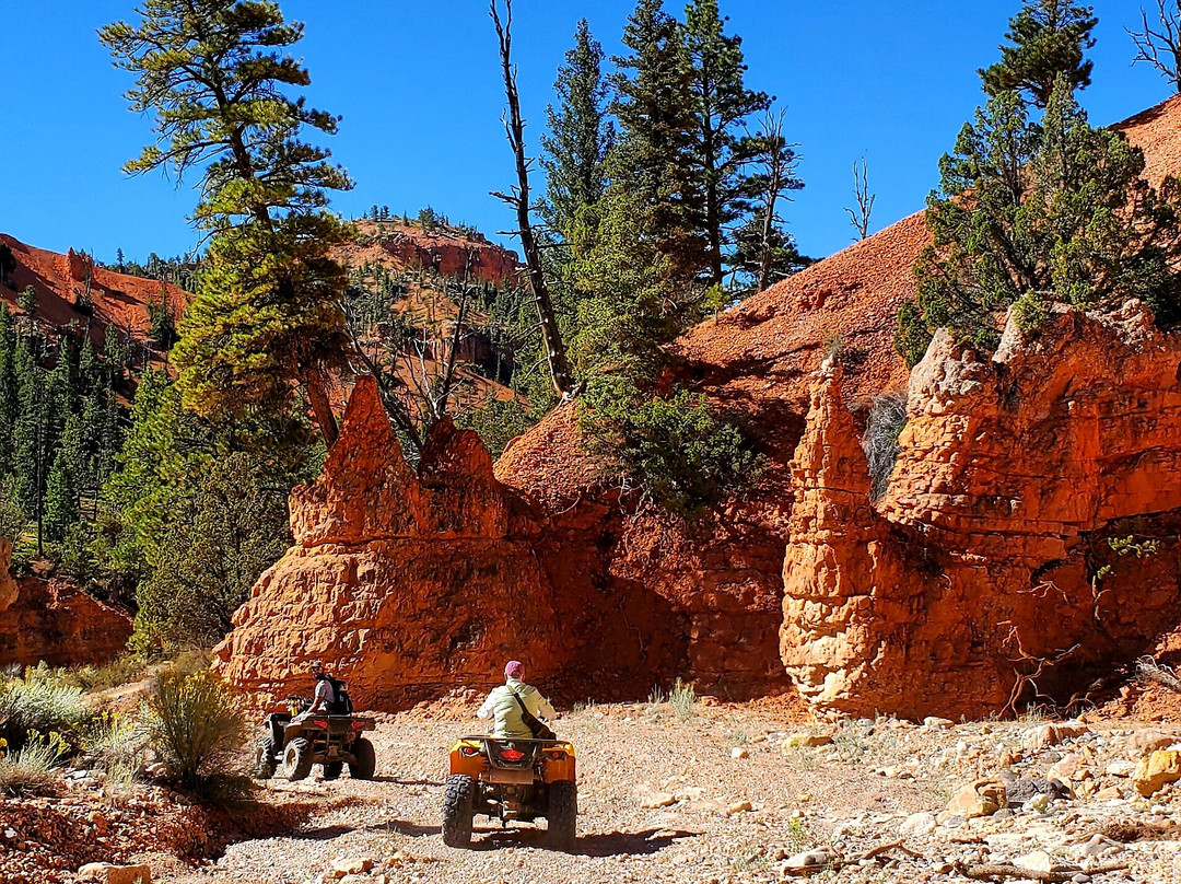 Bryce Canyon ATV Adventures-布莱斯必去景点
