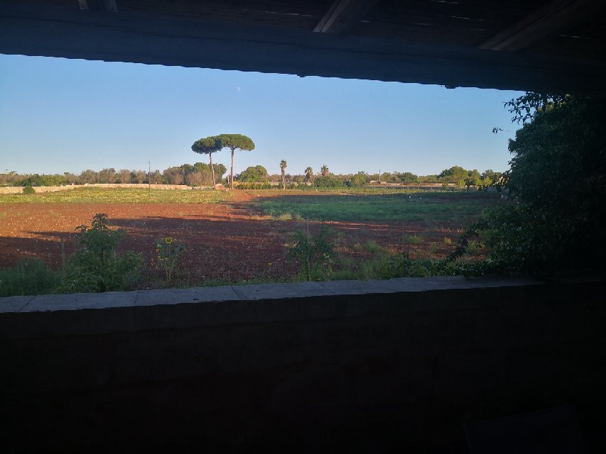 BioAgriturismo Messer Gesualdo主图